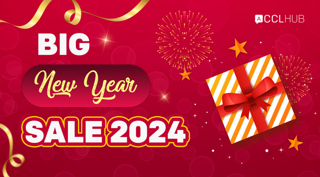Overview of the CCLHUB New Year Sale 2024